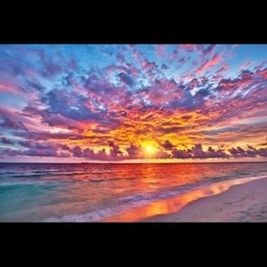 Make an Offer or Bundle